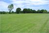 Large Meadow for Guests to enjoy